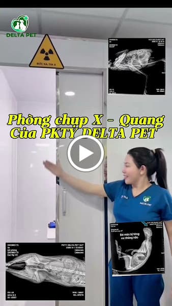 Hình ảnh Phòng khám thú y - Delta Pet Clinic Biên Hoà Cấp Cứu 24/7 - 4