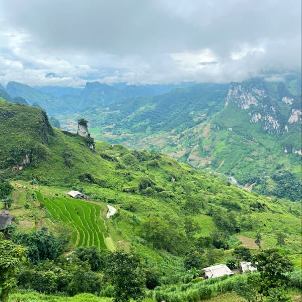 Hình ảnh Lalaland Coffee - Tea & Fastfood - 3