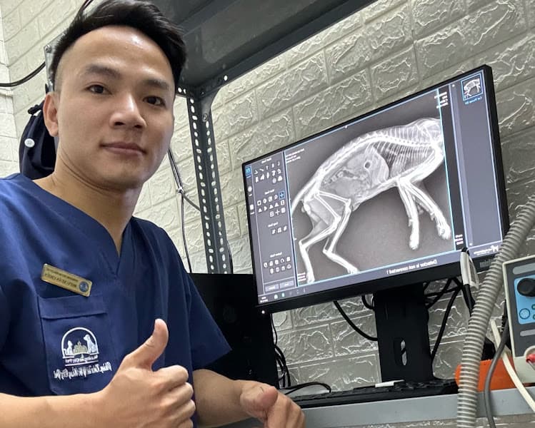 Phòng khám Thú y Đà Nẵng City Pet