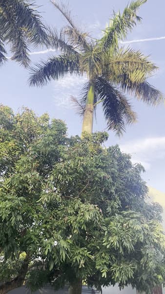 Hình ảnh Đền Đệ Nhị - 3