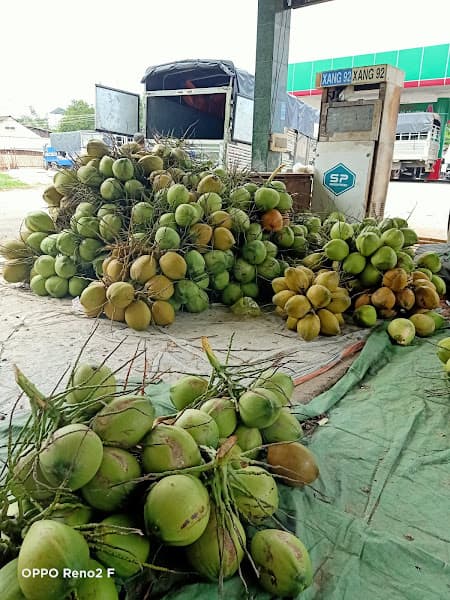 Hình ảnh Quán cháo gà Kiều - 3