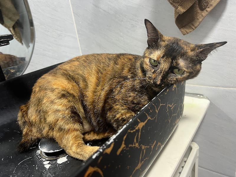 Hình ảnh Petshop Gia Thuận - 3