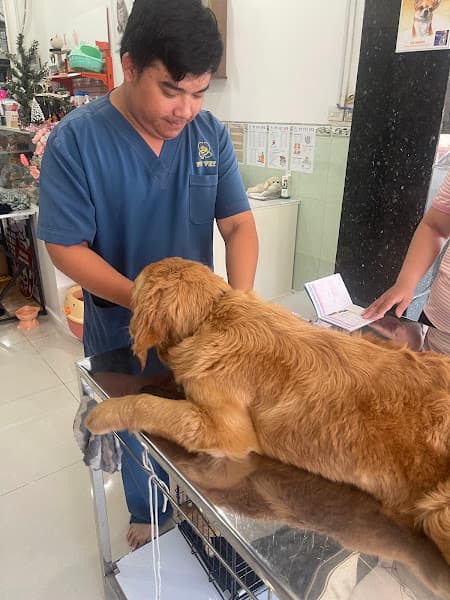 Hình ảnh Phòng khám thú y PT VET - 4