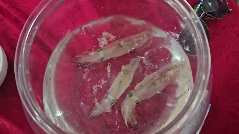 Hình ảnh Nhà Hàng Mực Nhảy Tuấn Thanh - Đặc sản Mực nhảy Hà Tĩnh - 4