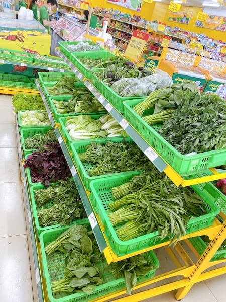 Hình ảnh Siêu thị Bách hóa XANH Bình Lộc - 2