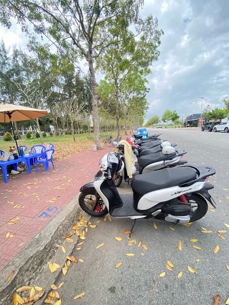 Hình ảnh PICKLEBALL 5A - 3