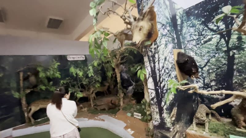 Hình ảnh Bảo tàng Lâm Đồng - 6