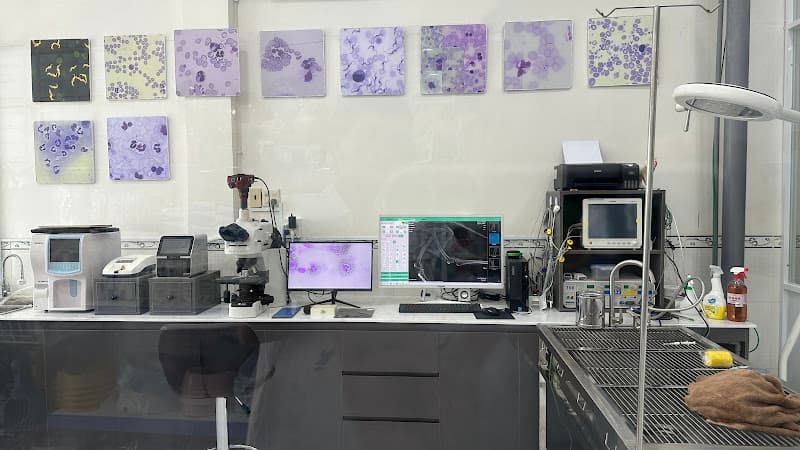 Ảnh bìa Bệnh Viện Thú Y Chuẩn An Giang