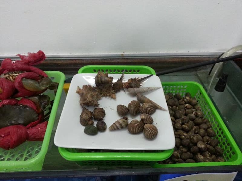 Hình ảnh Sành - Hải sản Cao Bằng - 6