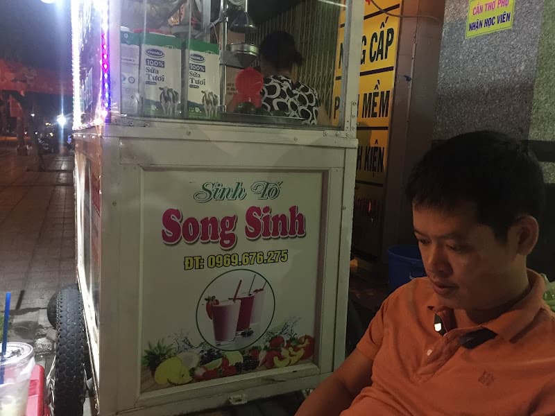 Hình ảnh Sinh tố Song Sinh - 2