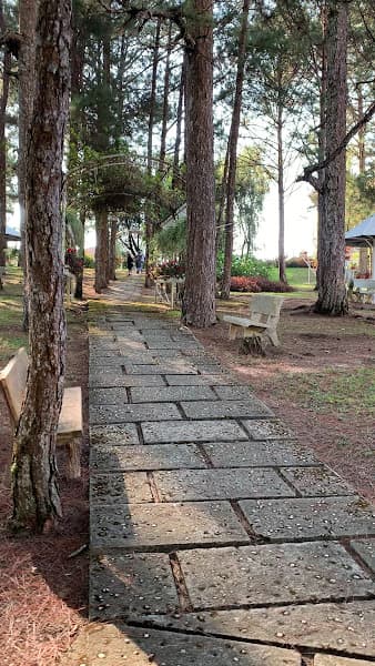 Hình ảnh Cung Nam Phương Hoàng Hậu - 4