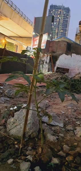 Hình ảnh Bida Bao Binh - 4