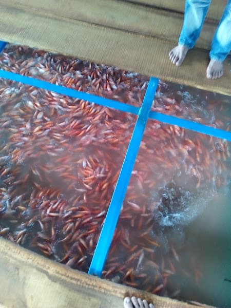 Di tích lịch sử Lộ Thơ