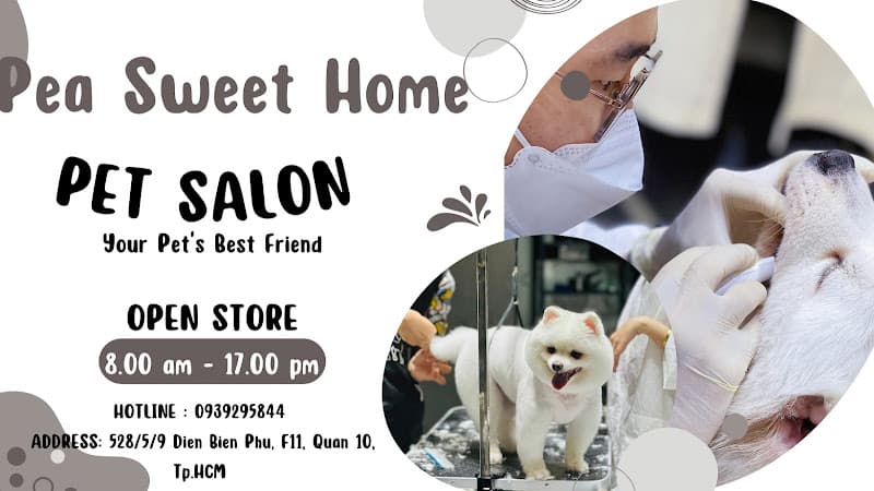 Pea Sweet Home - Tiệm Làm Đẹp Thú Cưng