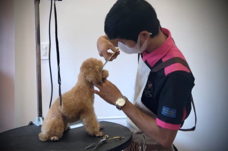 Hình ảnh Gino's Pet Shop - 2