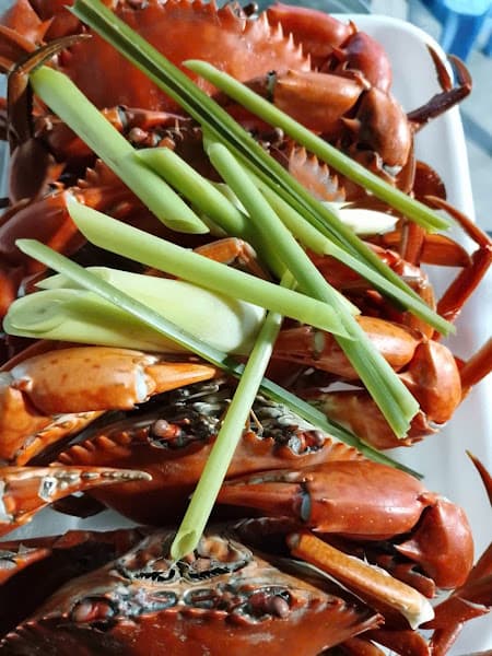 Cua cà mau hải yến