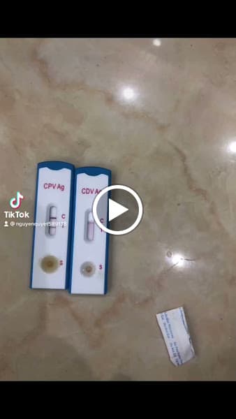 Hình ảnh Bệnh Viện Thú Y ThanhHoaPet - 2