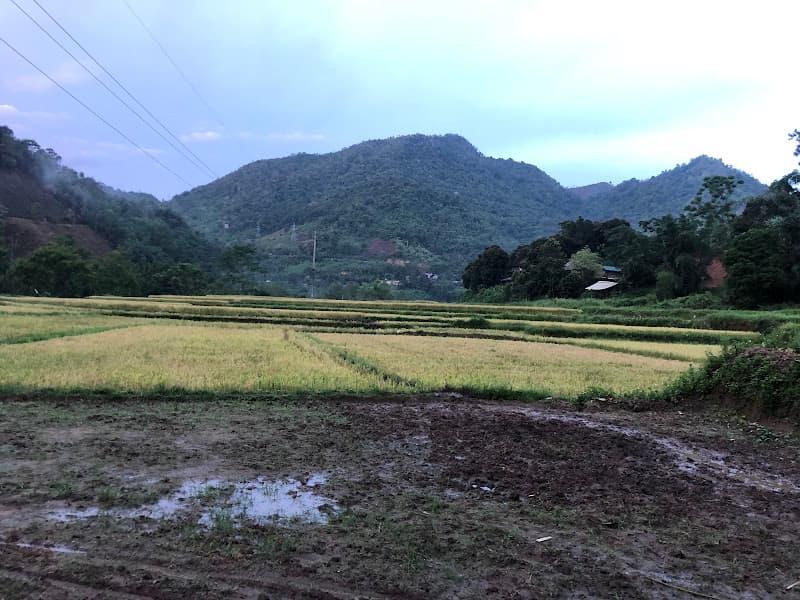 Hình ảnh Bản Văn Hóa Du Lịch Phiềng Lơi - 2