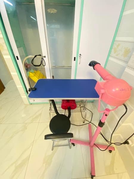 Hình ảnh Thế Giới Thú Cưng Buôn Ma Thuột - 4