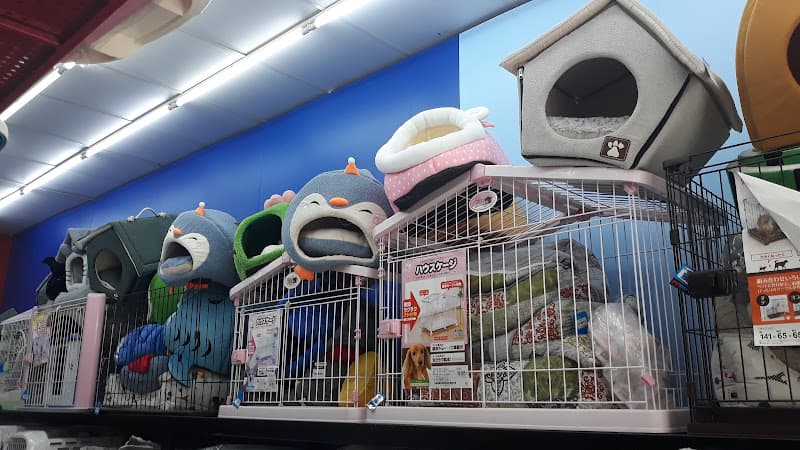 Hình ảnh Pet Mart Hải Phòng - Cửa Hàng Thú Cưng - 5