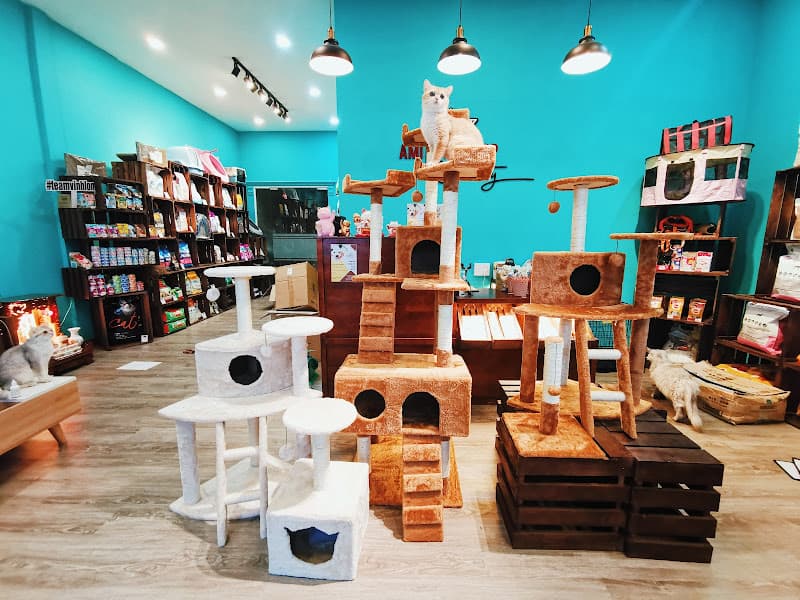 Hình ảnh Siêu thị thú cưng AMI PET SHOP & Cattery Vĩnh Long - 5