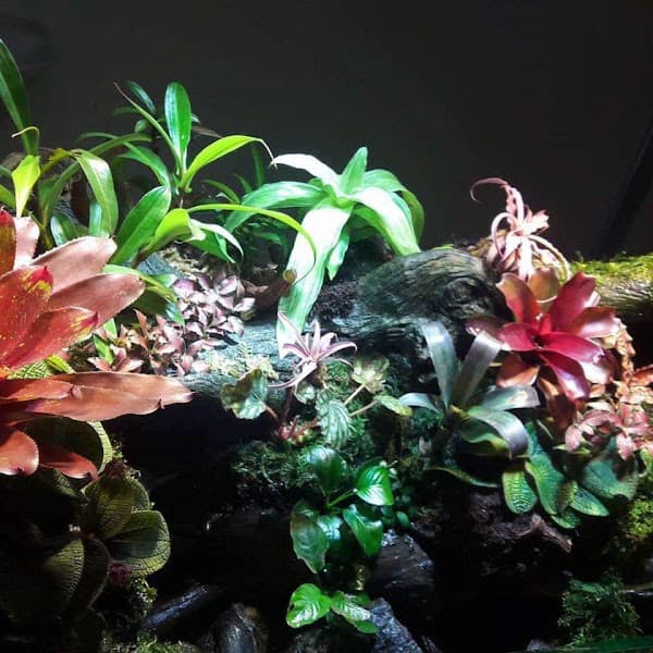 Hình ảnh Green Milk Tea and Coffee - 3