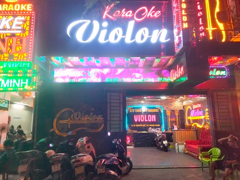 Hình ảnh Karaoke Violon - 5