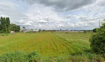 Long Phung PMT Pickleball