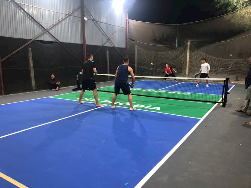 Hình ảnh Sân pickleball phố Đìa - 3
