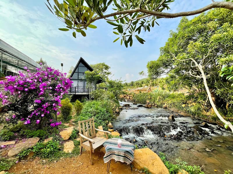 Hình ảnh NHÀ CỦA GẠO Cafe - Workshops - Farm 🦙 - 6