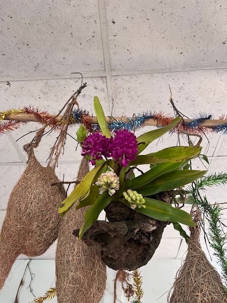 Ảnh bìa Karaoke Anh Tuấn