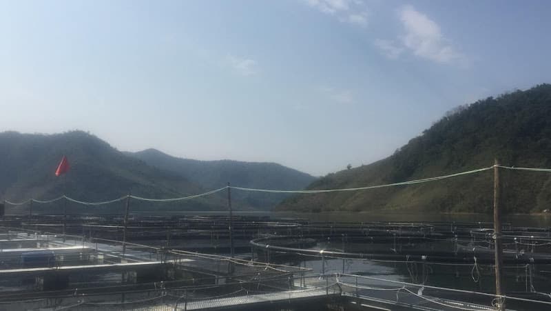 Hình ảnh Công Ty TNHH Một Thành Viên Cá Tầm Việt Nam – Sơn La - 2