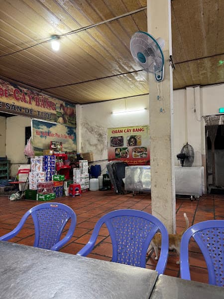 Hình ảnh LẨU DÊ CÂY BÀNG - 2