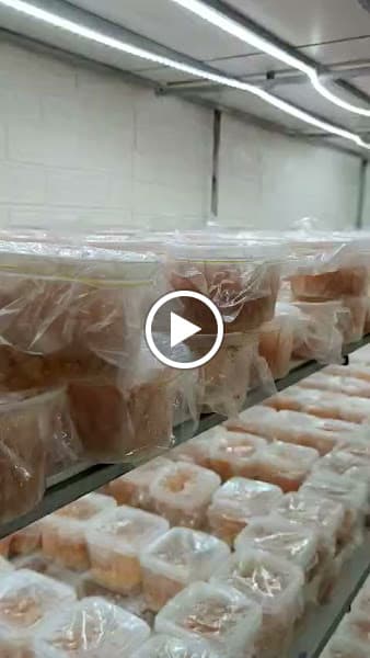 Hình ảnh Đông Trùng Hạ Thảo tại Cần Thơ - 2