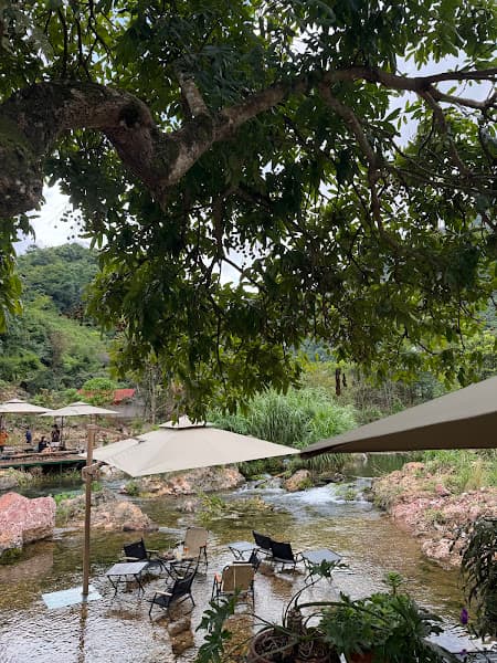 Hình ảnh Ngõ Suối Cafe - 4