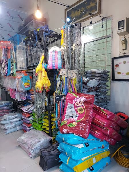 Hình ảnh SPa Dịch vụ làm đẹp thú cưng. Cấp cứu thú cưng. - 4