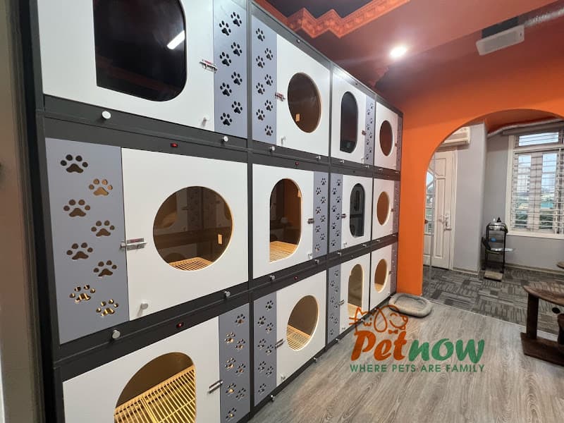 Hình ảnh PetNow - Shop & Spa Thú Cưng - 5