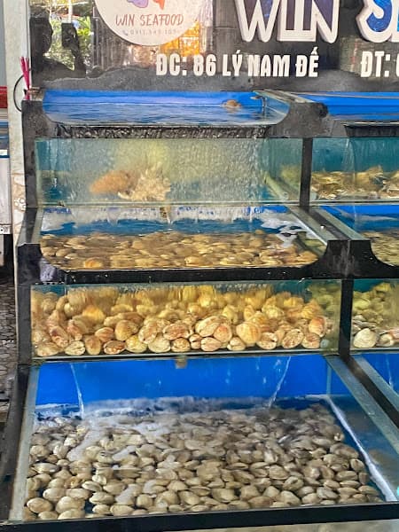 Win Seafood - Hải sản Huế 🦐🦀🐟🐙🦑