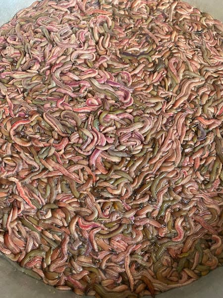 Hình ảnh Nhà Hàng Thành Đông - 3