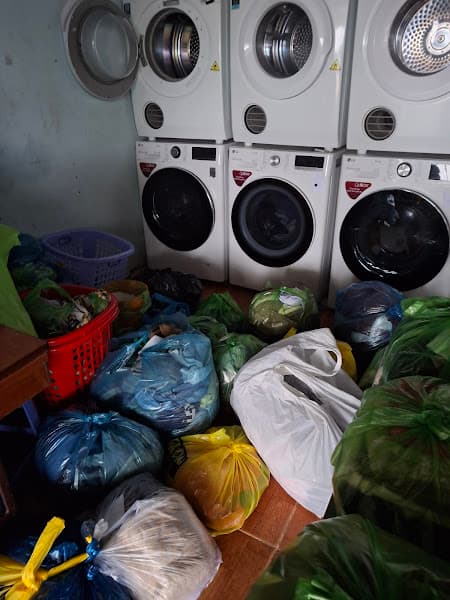 Hình ảnh Giặt Sấy - Laundry_세탁 및 건조 - 4