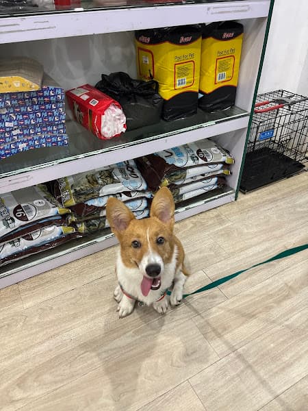 Bệnh viện thú y PetHealth Ninh Bình