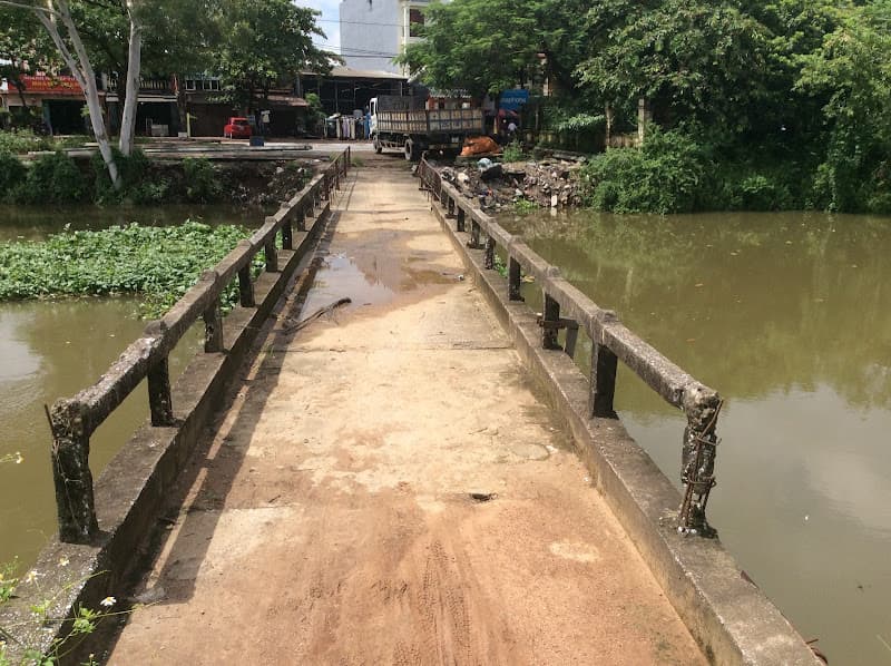 Hình ảnh Cây đa Bác Hồ - 3