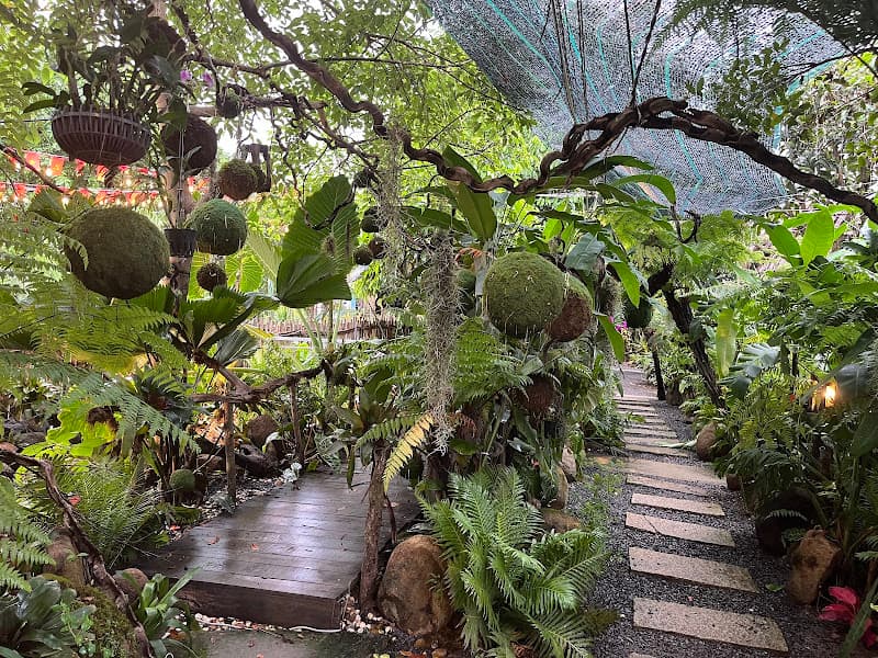 Hình ảnh FARM NẤM GÒ KÉN - 5