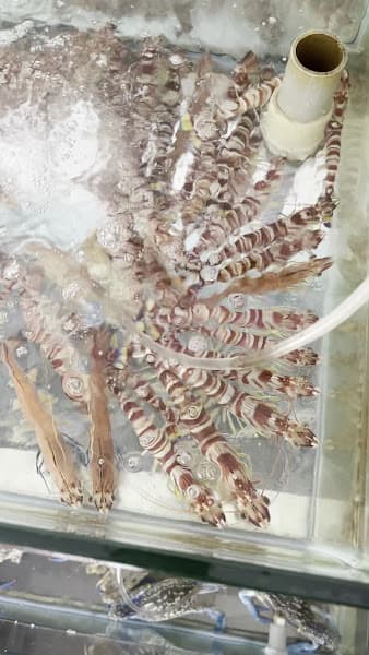 Hình ảnh Nhà hàng Thuý Kiều - 2