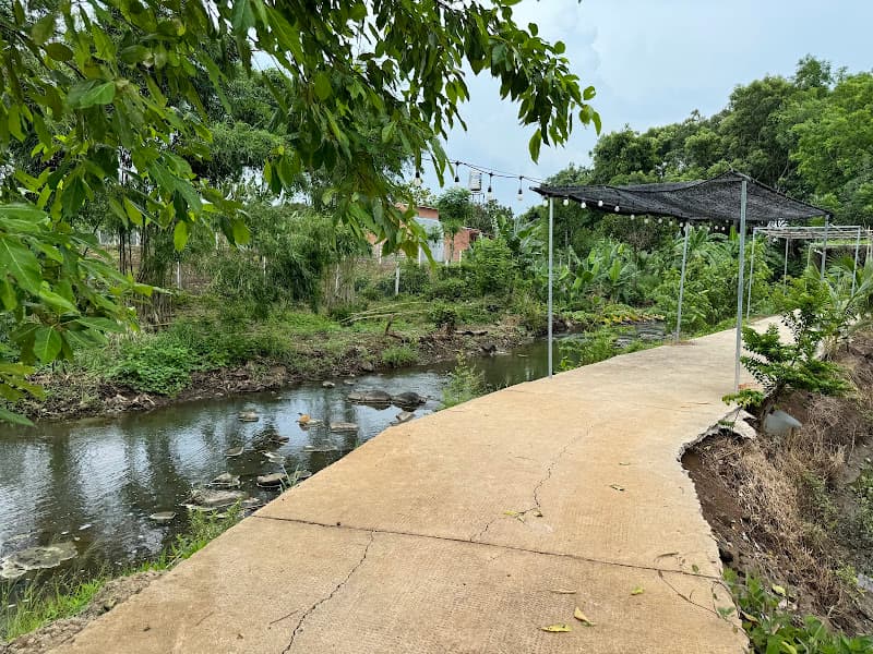 Hình ảnh Vườn trái cây sinh thái Bảo Quang - 3