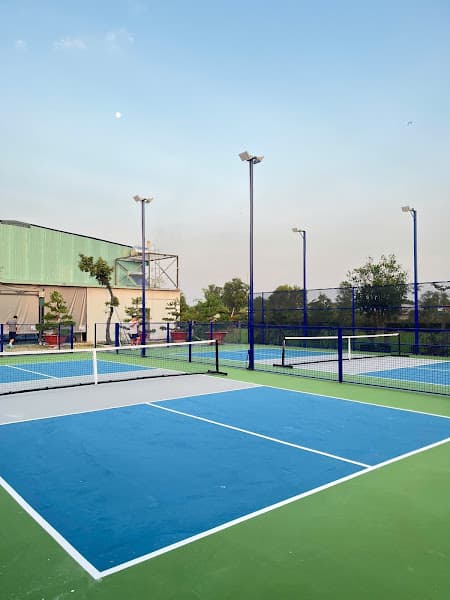 Hình ảnh Pickleball Long Trung - 3