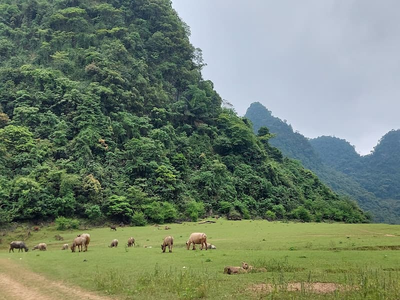 Hình ảnh Núi Thủng Phja Piót - 2