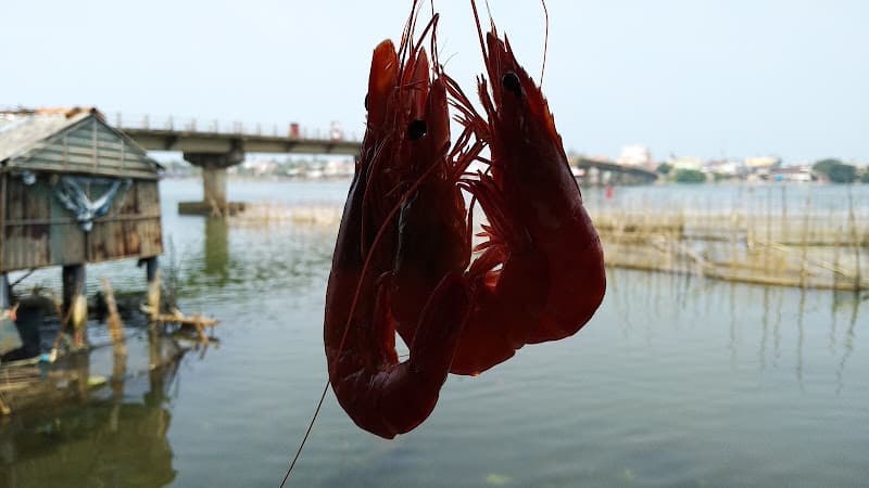 Hình ảnh Quán Hải Sản Tuấn Phúc - 5