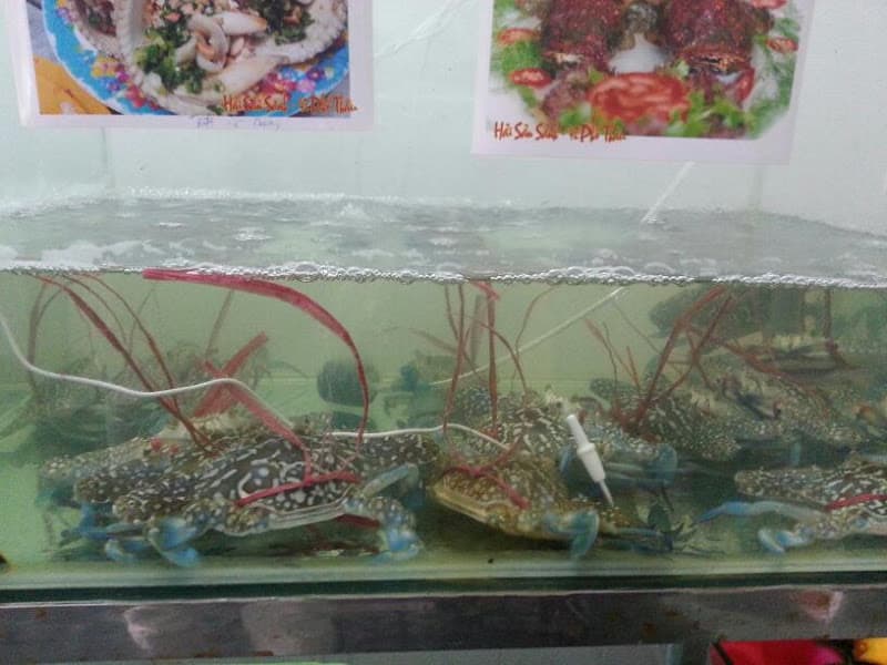 Hình ảnh Sành - Hải sản Cao Bằng - 3