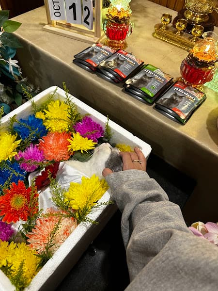 Hình ảnh Dịch Vụ Hoả Táng Chó Mèo, Thú Cưng Kami - 3